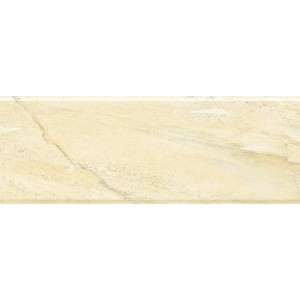 Gạch ốp tường Trường Thịnh WALL TILES 26103T